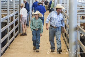 Mixed Weaners Annual Sales at NVLX