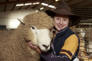 Sheep Show