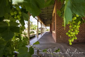 Grape House